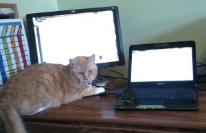 0122151453-00-cropped