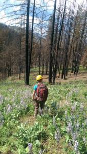 11147248_1129116987111936_958244585000469090_n