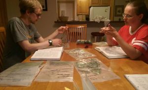 12308487_1129117123778589_9076776681646940876_n